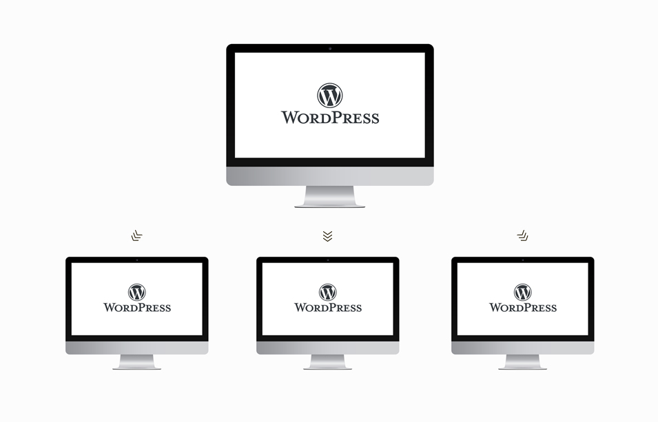 Wordpress Multisite