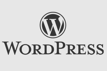 Pros and Cons of Wordpress CMS